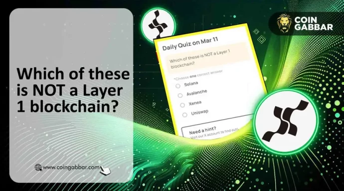 Xenea Wallet Quiz Answer